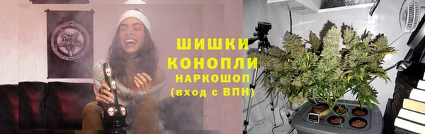 индика Верея